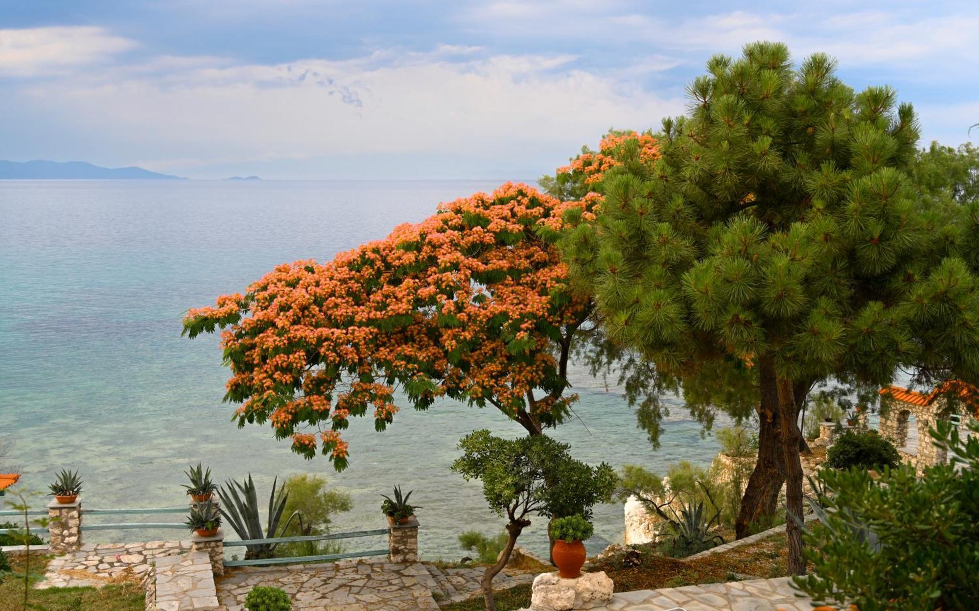 Kiparissi Villa Halkidiki Ierissos Bagian luar foto